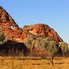 *** The Elephant's of Purnululu NP ***