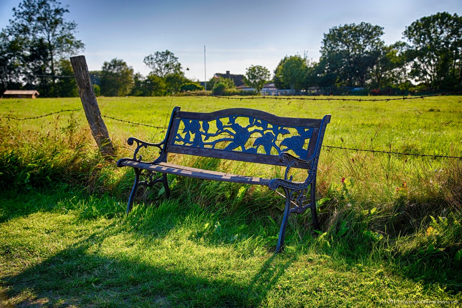 The empty bench