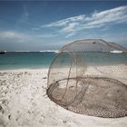 The empty crab cage