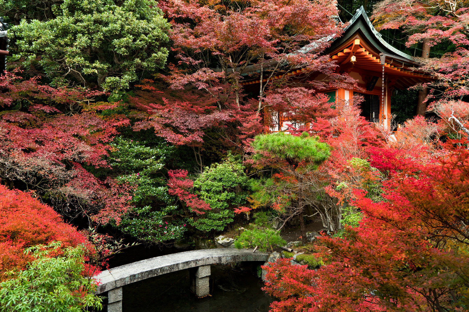 the enchanted gardens of Kyoto