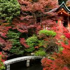 the enchanted gardens of Kyoto