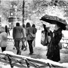 The Enchantment of a Snowy Evening in Central Park