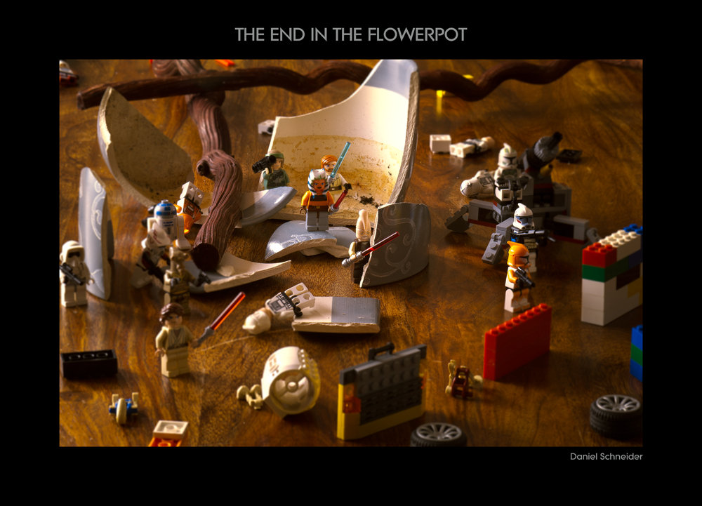 The end in the flowerpot