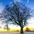 the end of a photo day in the snow