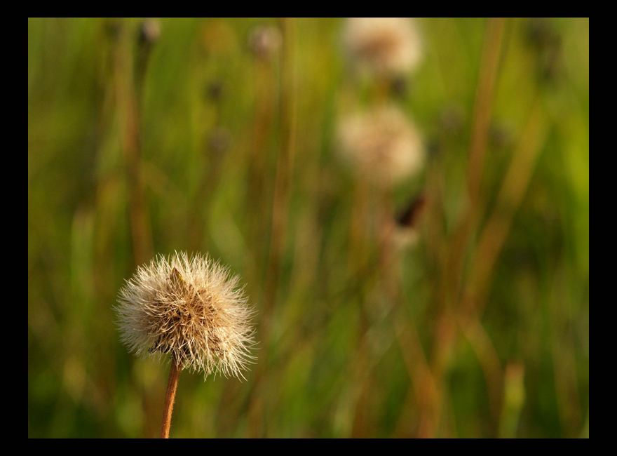 The-End-of-Summer