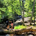 The Enjoyment of a Summer Afternoon - A Cunningham Falls Moment