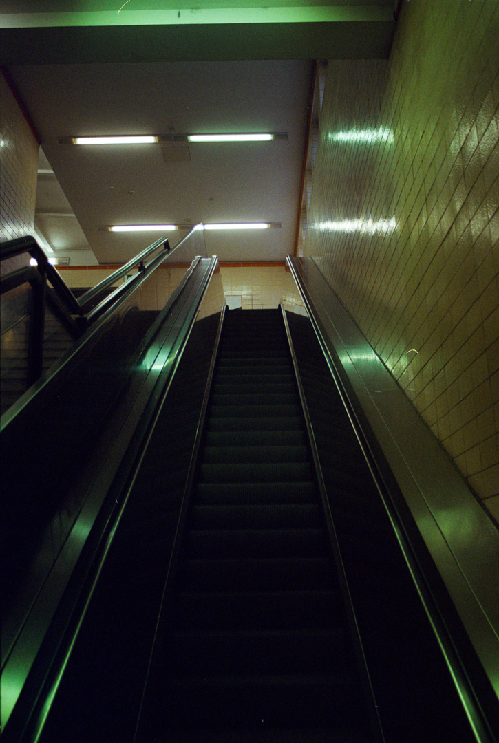 The Escalator