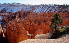 "the eternal flame" -am "Sunset Point" des Bryce Canyons