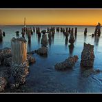 ~The evening Botany Bay~