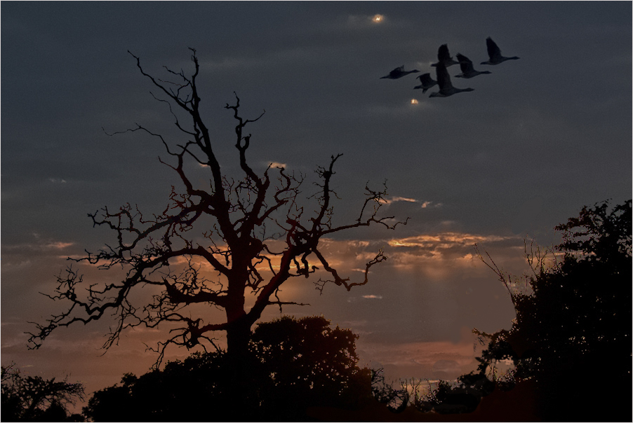 The evening of a summer day