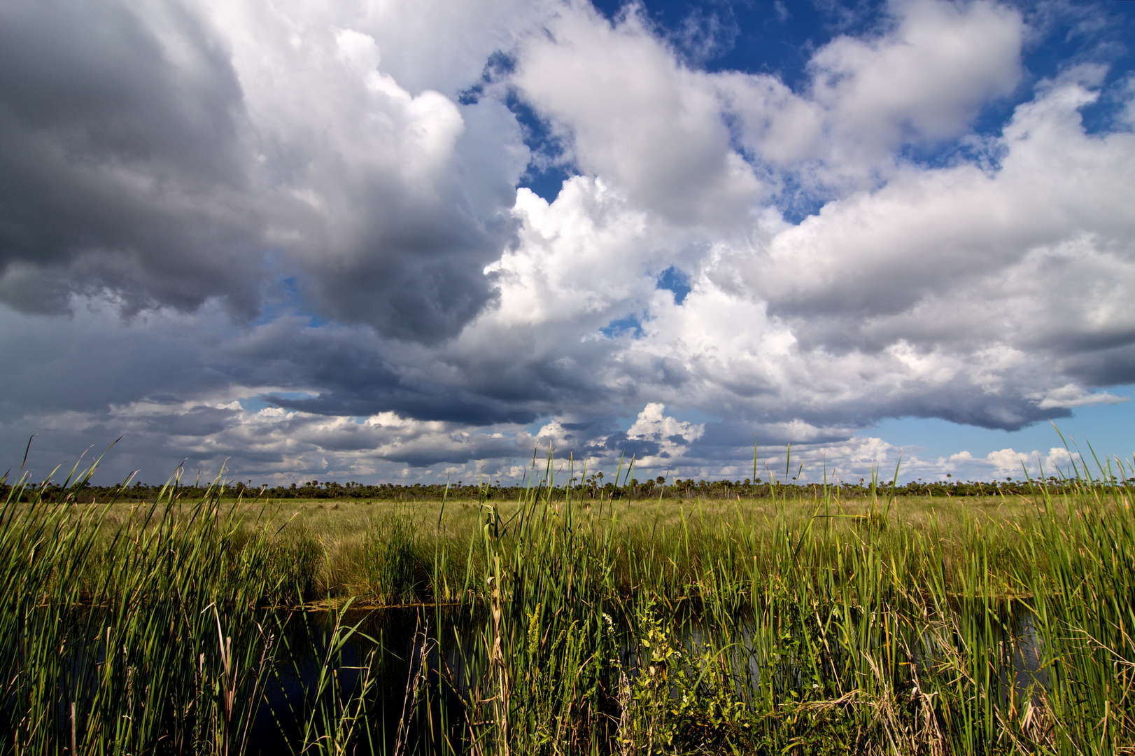 The Everglades