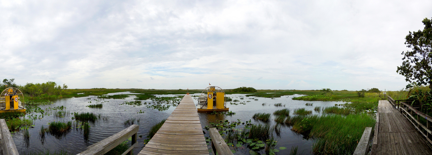 The Everglades