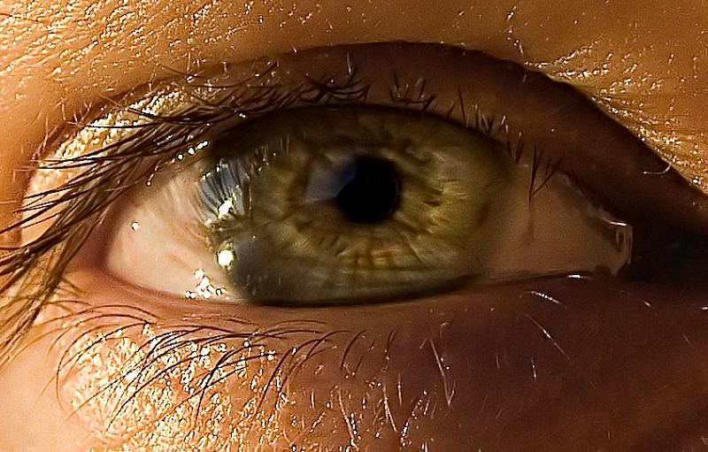 The Eye