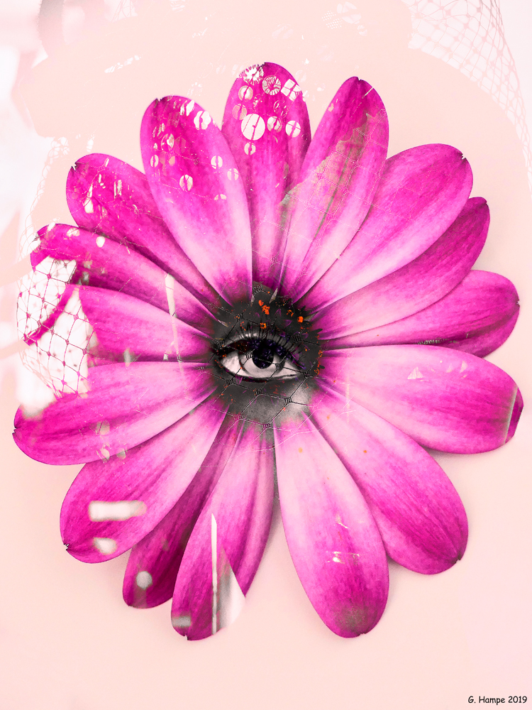 The Eye and  the flower 