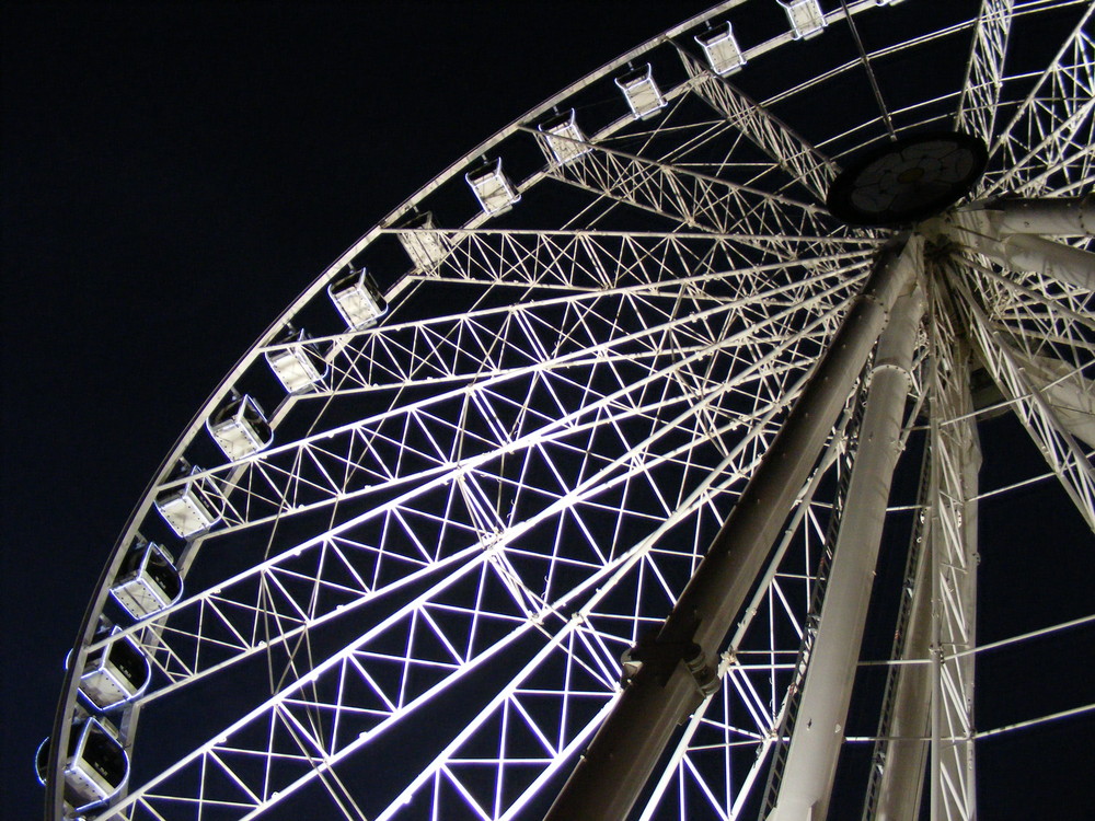 the eye at night