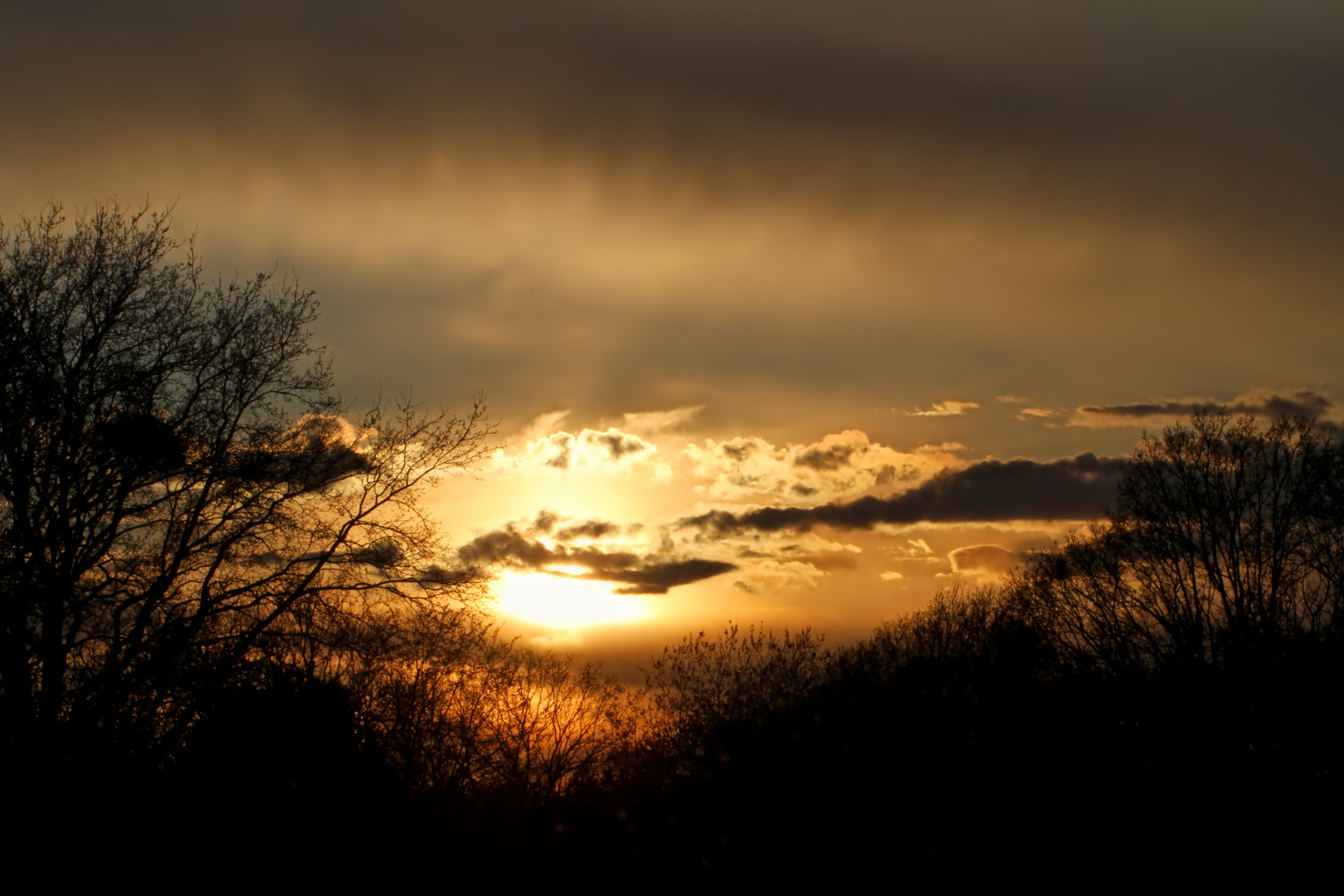 the eye of a sundown