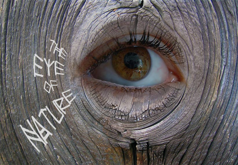 the eye of nature