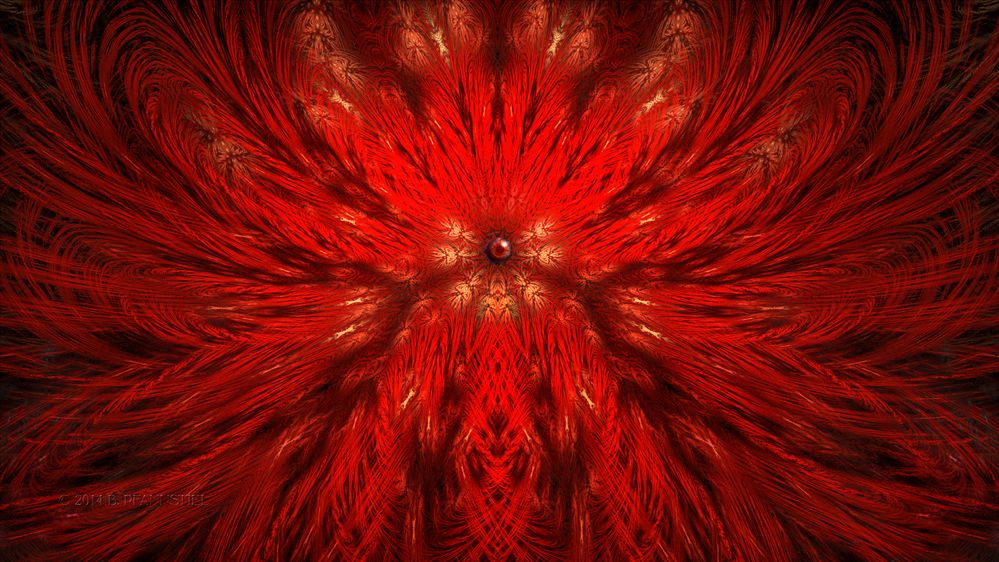 the eye of the phoenix