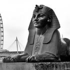 The Eye & the Sphinx