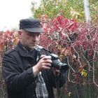 User Profile Photo