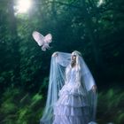 ~ the fairies wind ~