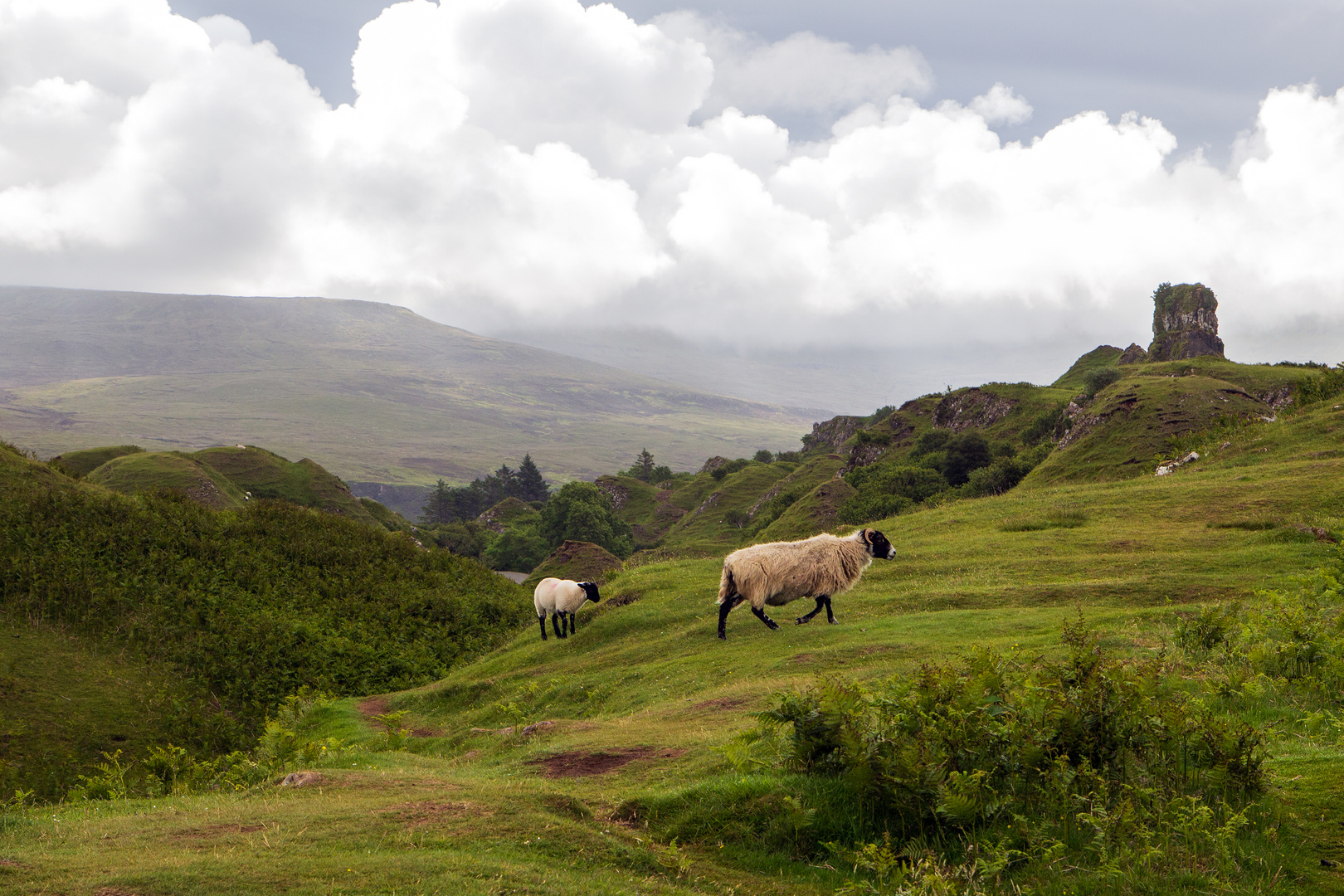 The Fairy Glen