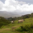 The Fairy Glen