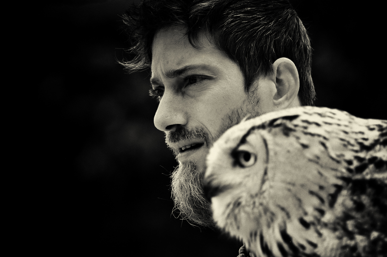 the falconer and his owl