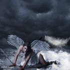 The Fallen Angel