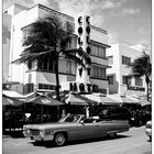 The Famous One On Ocean Drive