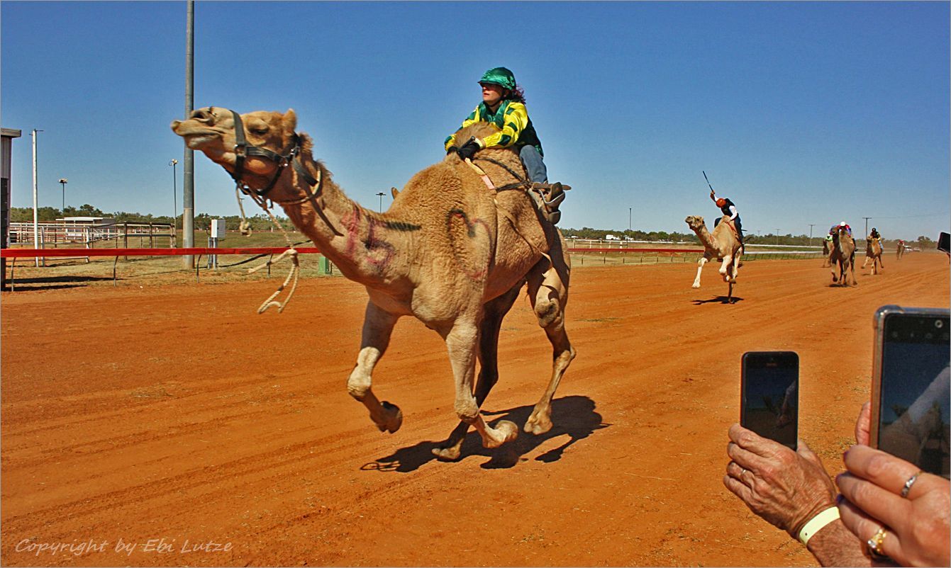 * The famous yearly Camel Race in Boulia Qld.