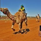 * The famous yearly Camel Race in Boulia Qld.