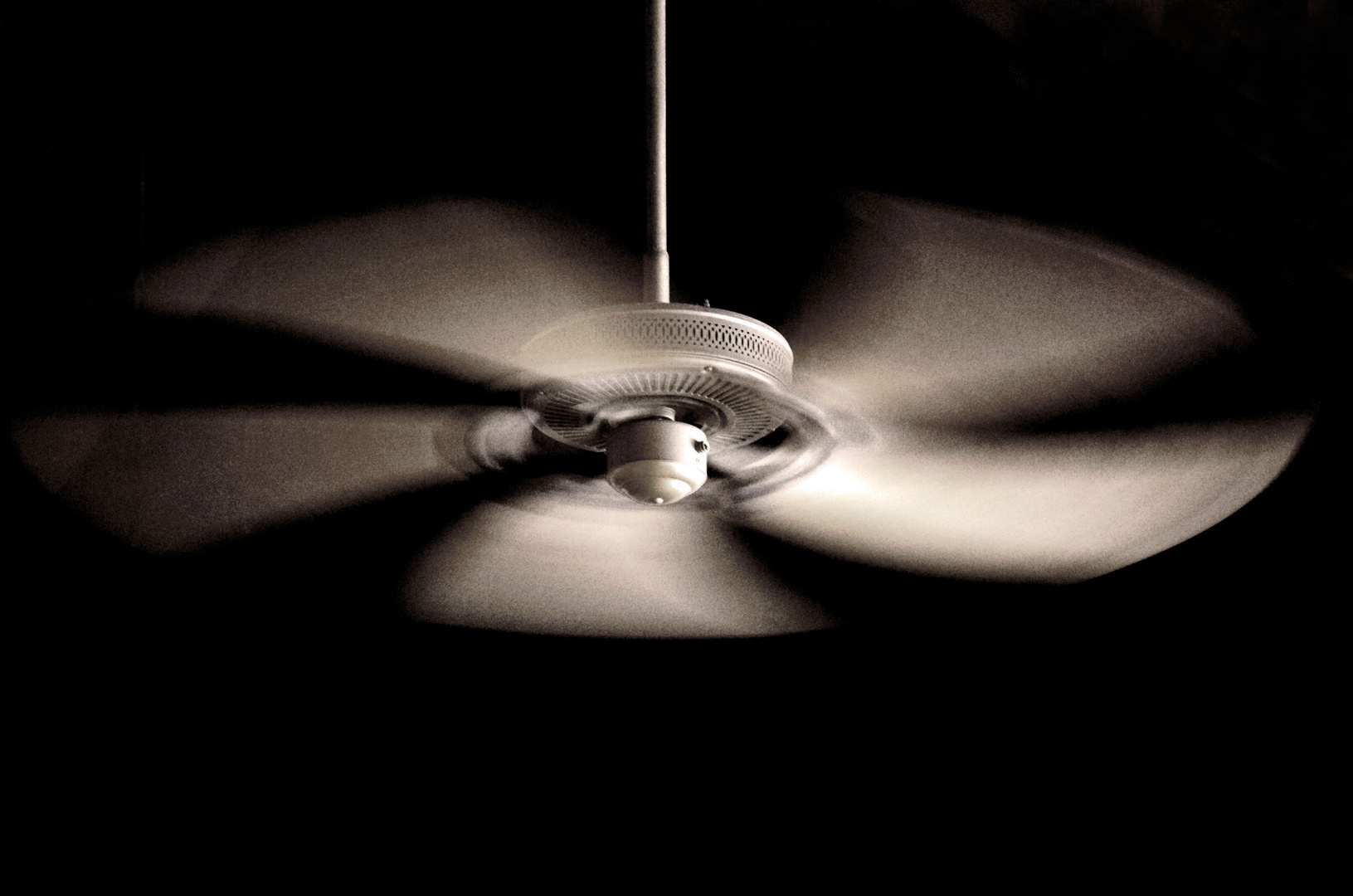 THE FAN