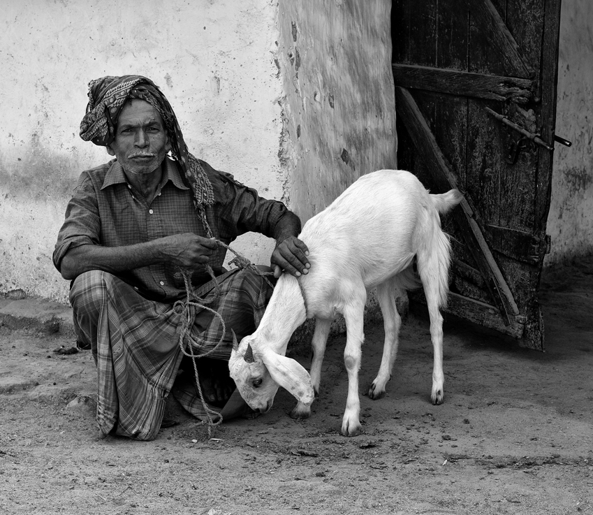 The farmer and his goat