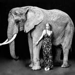 the fashion-elefant s/w