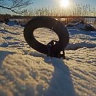 The fastening ring on the coastal against the sun light