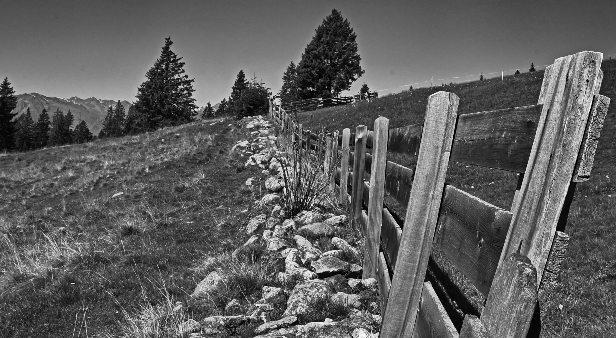 The fence