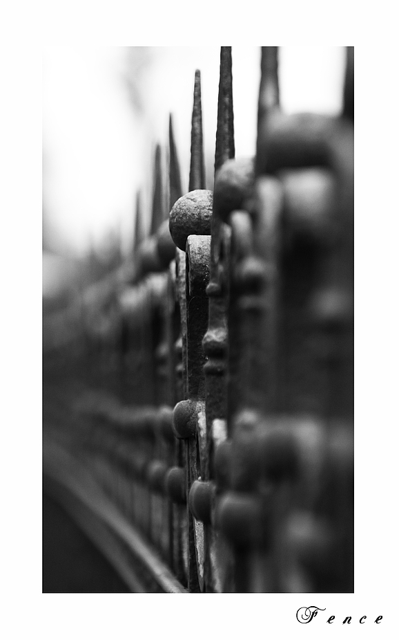 The Fence