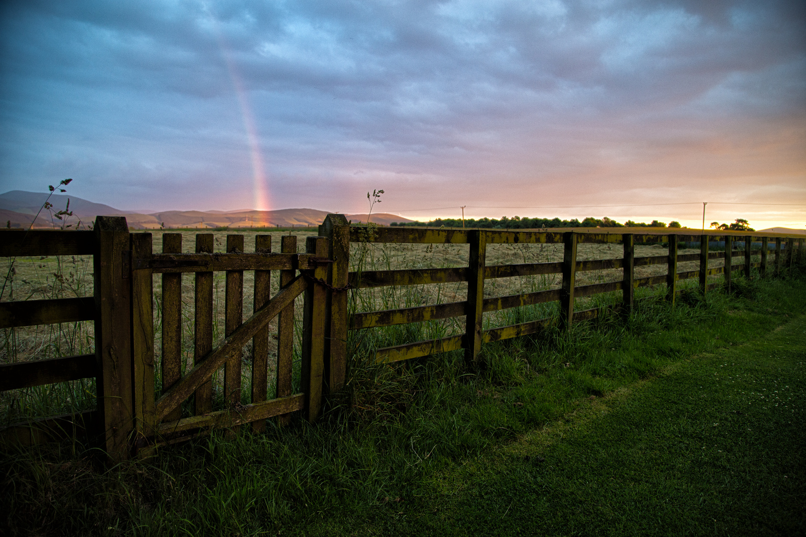 The Fence