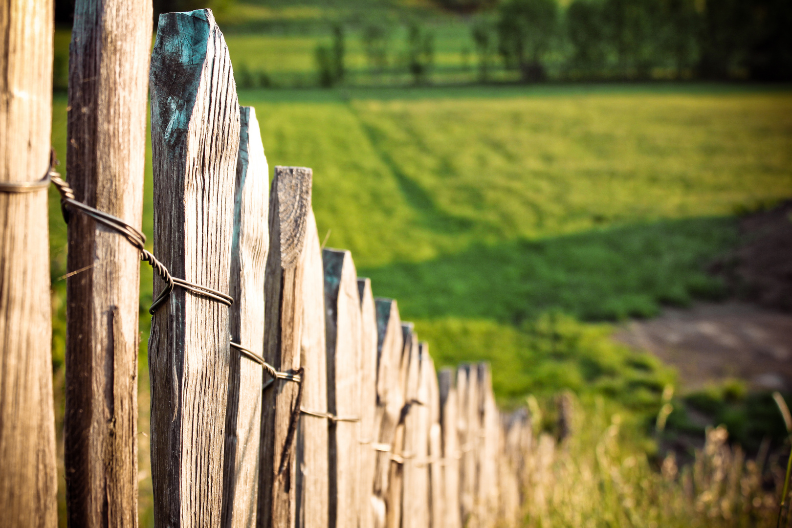 The fence