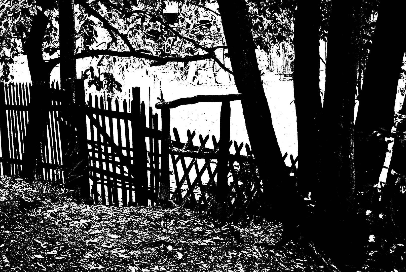 the fence and the meaning of home...