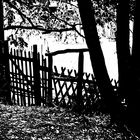 the fence and the meaning of home...