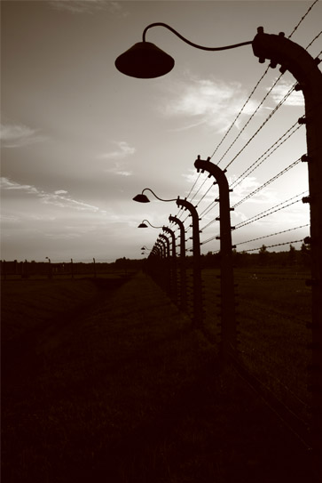 The Fence in Auschwitz Birkenau