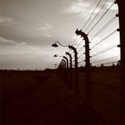 The Fence in Auschwitz Birkenau