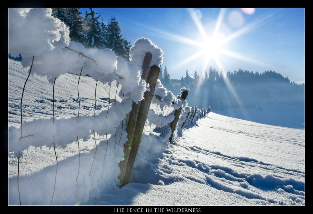 The Fence in the Wilderness