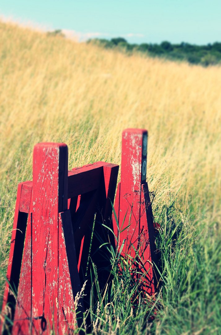 The fence to the countryside