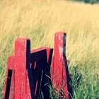 The fence to the countryside