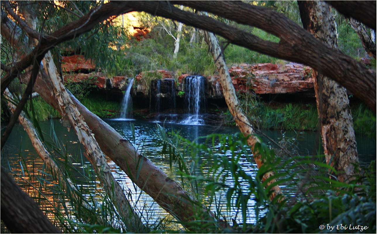 ** The Fern Pool at 6 AM **