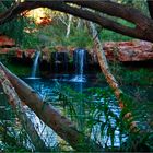 ** The Fern Pool at 6 AM **