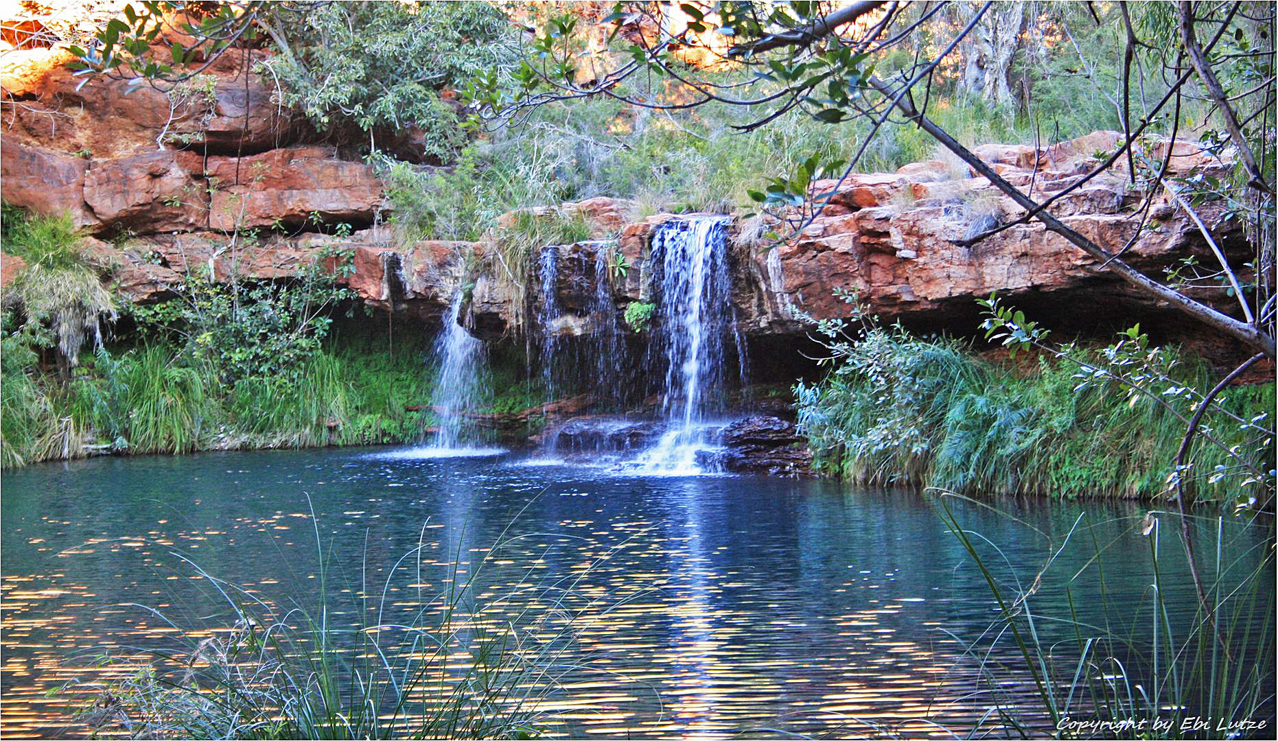 * the Fern Pool / Dale Gorge *